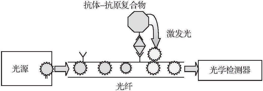 第二节 生物传感器在乳粉分析与检测中的应用